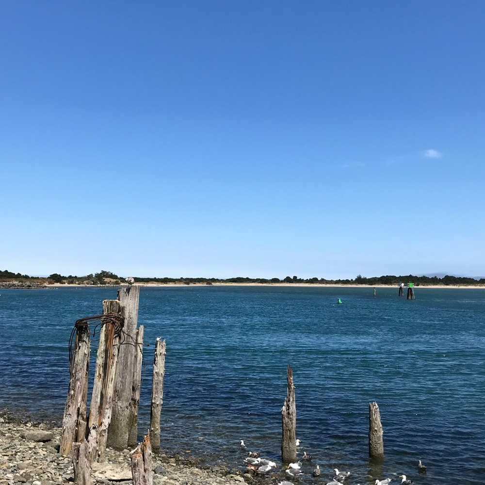 Meet your Posher, Kaelyn